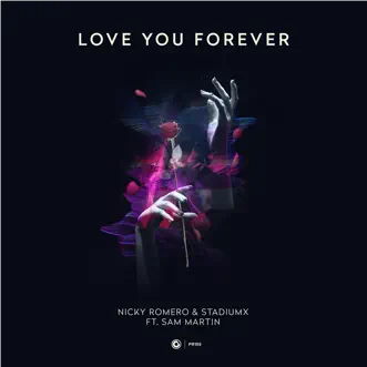 Love You Forever (feat. Sam Martin) [Extended Mix] by Nicky Romero, StadiumX & Sam Martin song reviws