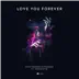 Love You Forever (feat. Sam Martin) [Extended Mix] song reviews