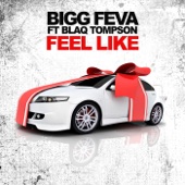 Bigg Feva - Make Me Feel Like