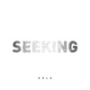 Seeking - Single