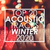 Top 20 Acoustic Tracks Winter 2020 (Instrumental)