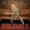 Cassadee Pope - Over You-(Album) Single-2013 Country-(Up Next) Sheryl Crow