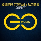 Synergy (Extended Mix) artwork