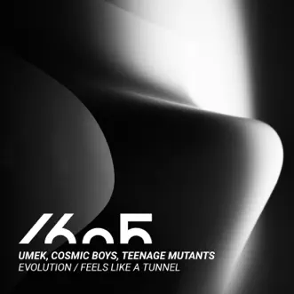 Evolution / Feels Like a Tunnel - Single by Umek, Cosmic Boys & Teenage Mutants album reviews, ratings, credits