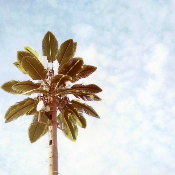 Cover artwork for Fuimos