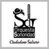 Ciudadano Salsero - Single