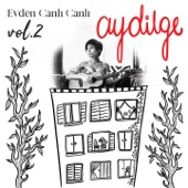 Evden Canlı Canlı, Vol. 2 artwork