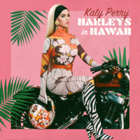 Katy Perry - Harleys in Hawaii artwork
