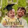 Tot Ce Ai Nevoie - Single