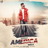 America Wala artwork