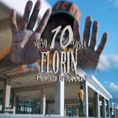 10 Florin artwork