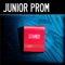 Stand! - Junior Prom lyrics