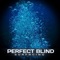 Calm Below - Perfect Blind lyrics
