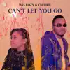 Can't Let You Go (feat. Cherrie) [Radio Edit] song lyrics