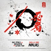 Skilla Dan Ninjas (feat. Bescenta and Lutan Fyah) artwork