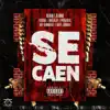 Stream & download Se Caen (feat. Pouliryc, Joy Almanyk & Baby Johnny) - Single