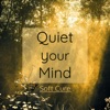 Quiet Your Mind - The Best Healing Music and Curative Songs to Relieve your Mind
