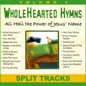 All Hail the Power of Jesus Name (Split Track) artwork