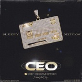 CEO (feat. Deepflow) artwork