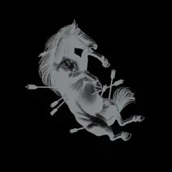 Dead Horse X - Touché Amoré