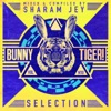 Bunny Tiger Selection, Vol. 10