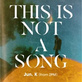 THIS IS NOT A SONG, 1929 artwork