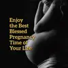 Enjoy the Best Blessed Pregnancy Time of Your Life: Comforting Restful Music for Pregnant Women and the Fetus, Calm Down During Labor & Delivery, Pilates and Yoga for Mother to Be album lyrics, reviews, download