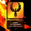 All the Wiser (Remixes) - EP album lyrics, reviews, download