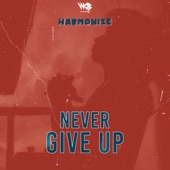 Never Give Up artwork