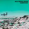 Bali Speed Chase / Earth Day - EP album lyrics, reviews, download