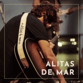 Alitas de mar (feat. Juanito Makandé) artwork