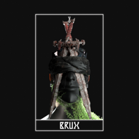 B.W.P.-Brüx