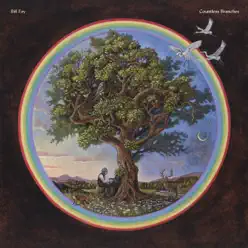 Countless Branches (Deluxe Edition) - Bill Fay