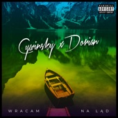 Wracam Na Ląd (feat. VNM) artwork