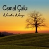 Cemal Çakı - Gidersen