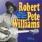 Robert Pete Williams Monologue - Robert Pete Williams lyrics