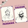 Salgán - Fujisawa