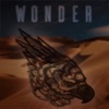 Wonder - Single