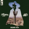 Saguaro View - Single