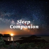 Sleep Companion artwork