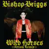 Wild Horses (Attom Remix) - Single album lyrics, reviews, download