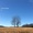 Dacia Calm-Tommy Berre - End - :27