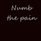 Numb the Pain artwork