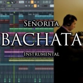 Señorita (Instrumental) artwork