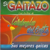 La Botellita artwork