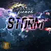 Just by Storm - Single album lyrics, reviews, download