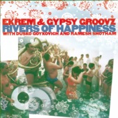 Cigansko Veselje (Gypsy Groove Party) artwork