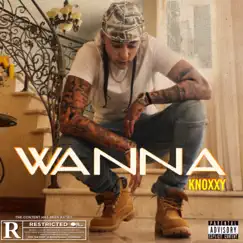 Wanna - Single by Knoxxy album reviews, ratings, credits