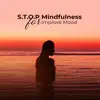 S.T.O.P Mindfulness for Improve Mood album lyrics, reviews, download