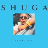 Shuga artwork